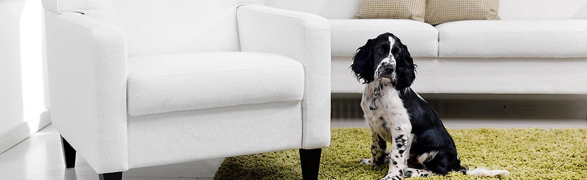 При выборе мягкой мебели